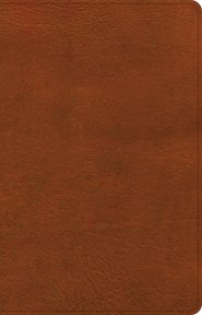 NASB Large Print Thinline Bible, Burnt Sienna LeatherTouch