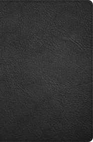 KJV Personal Size Giant Print Bible, Black Genuine Leather
