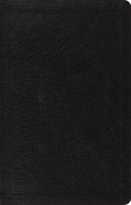 ESV Large Print Thin Reference