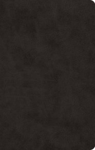 ESV Large Print Value Thinline Bible