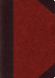 ESV Study Bible, Large Print