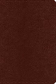 ESV Systematic Theology Study Bible