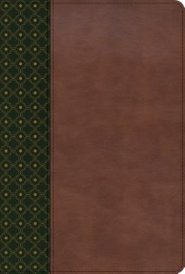 RVR 1960 Biblia de Estudio Scofield, verde oscuro/casta