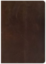CSB She Reads Truth Bible, Brown Genuine Leather