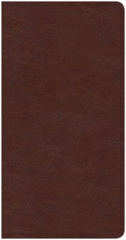 CSB Share Jesus Without Fear New Testament, Brown Leathertouch