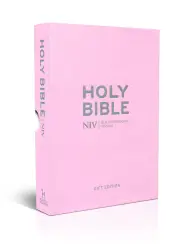 NIV Pocket Bible, Pink, Imitation Leather, Boxed, Gilt Edged, Ribbon Marker, Anglicised, Bible Reading Plan, Timeline, Book Overview, Helpful Bible Passages