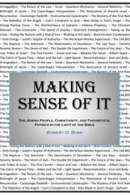 Making Sense of It
