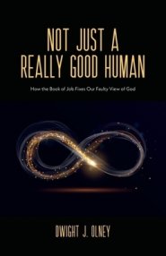 Not Just a Really Good Human: How the Book of Job Fixes Our Faulty View of God