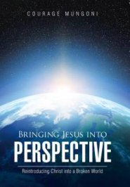Bringing Jesus into Perspective: Reintroducing Christ into a Broken World