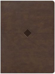 CSB Day-by-Day Chronological Bible, Brown LeatherTouch