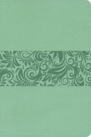 RVR 1960 Biblia para regalos y premios, turquesa símil piel