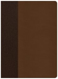 CSB Life Essentials Interactive Study Bible, Brown LeatherTouch