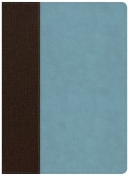 CSB Life Essentials Interactive Study Bible, Brown/Sky LeatherTouch