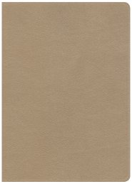 CSB She Reads Truth Bible, Champagne Gold LeatherTouch, Indexed