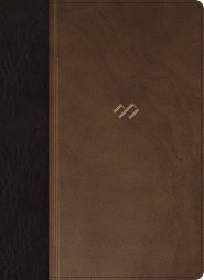 RVR 1960 Biblia temática de estudio, marrón oscuro/marrón piel fabricada