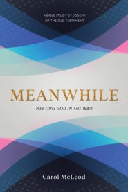 Meanwhile: Meeting God in the Wait: Meeting God in the Wait