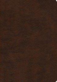 NASB 2020 Large Print Ultrathin Reference Bible, Brown
