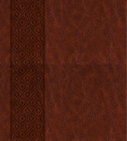 KJV Expressions Bible