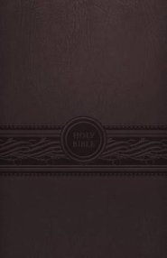 MEV Personal Size Large Print Bible