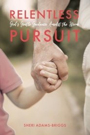Relentless Pursuit : God's Gentle Guidance Amidst the Storm