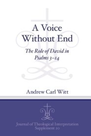 Voice Without End