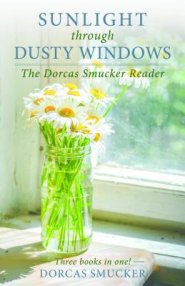 Sunlight Through Dusty Windows