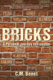 Bricks: A Personal Journey to Freedom