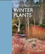 GARDENING WITH WINTER PLANTS