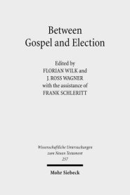 Between Gospel and Election: Explorations in the Interpretation of Romans 9-11