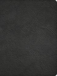 CSB Men of Character Bible, Revised and Updated, Black Genuine Leather