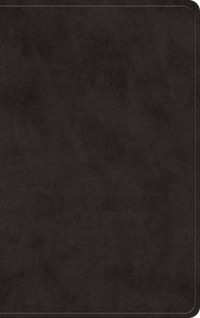 ESV Giant Print Value Personal Size Bible (TruTone, Black)