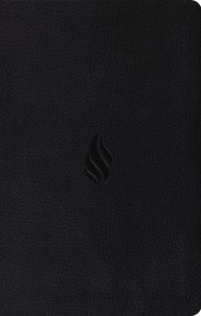 ESV Premium Gift Bible (TruTone, Midnight, Flame Design)