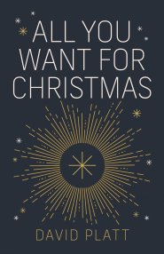 All You Want For Christmas