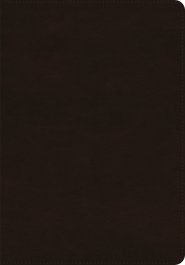ESV Giant Print Bible, Red Letter (TruTone, Deep Brown)