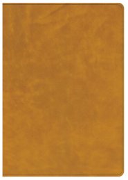 CSB Lumen Dei Bible, Lux Gloriae: Single-Column Wide-Margin