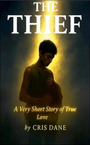 The Thief A Very Short Story of True Love