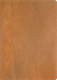 CSB He Reads Truth Bible, Holman Handcrafted Collection