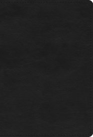 ESV Large Print Compact Bible, Red Letter (TruTone, Black)