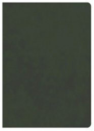 CSB Lumen Dei Bible, Lux Verbi: Verse-By-Verse Reference