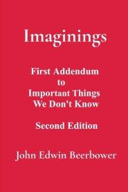 Imaginings: First Addendum to Important Things We Don't Know