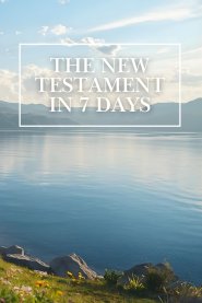 The New Testament In 7 Days