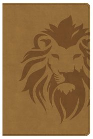 CSB One Big Story Bible, Revised & Updated, Brown Lion