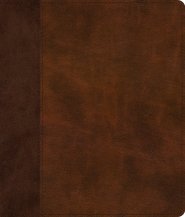 ESV Journaling Bible, Red Letter (TruTone, Brown/Tan, Timeless Design)