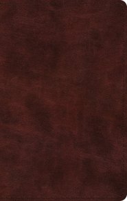 ESV Large Print Thinline Bible, Red Letter (TruTone, Mahogany)