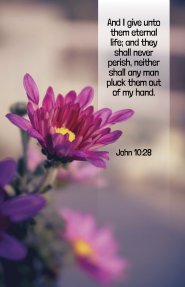 Funeral Bulletin: My Hand (Package of 100)