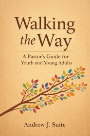 Walking the Way: A Pastor's Guide for Youth and Young Adults: A United Methodist Pastoral Companion for Youth and Young Adults: Faith, Identity, Doubt