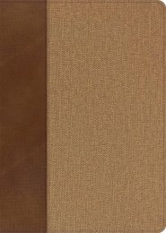 CSB Study Bible, Personal Size, Brown/Khaki