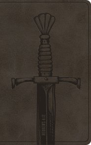 ESV Vest Pocket New Testament with Psalms and Proverbs, Red Letter (TruTone, Silver, Sword Design)