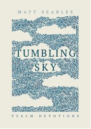 Tumbling Sky