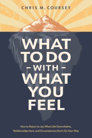 What to Do with What You Feel